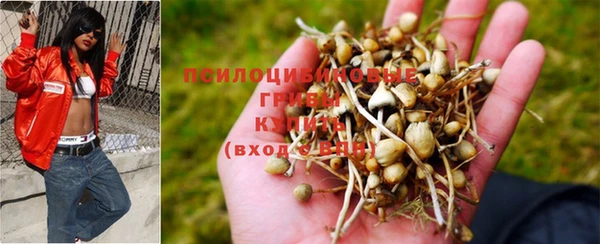 соль курить ск Наволоки