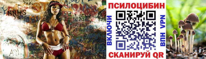 Галлюциногенные грибы MAGIC MUSHROOMS  mega   Циолковский  как найти  